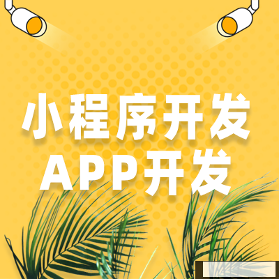 企業(yè)可以自行開發(fā)小程序，第三方外包公司為什么還是層出不窮？