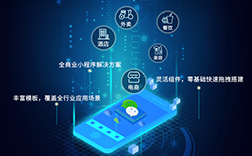 小程序開發(fā)多少錢一個，定制與模板的差價是多少