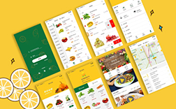 鄭州蔬菜app，蔬菜app制作的要點是什么呢